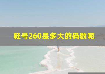 鞋号260是多大的码数呢