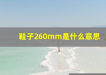 鞋子260mm是什么意思