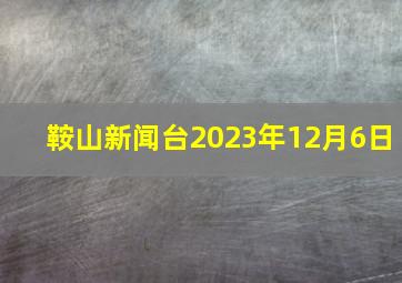 鞍山新闻台2023年12月6日