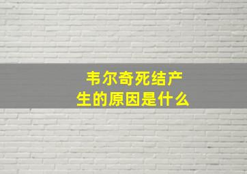 韦尔奇死结产生的原因是什么