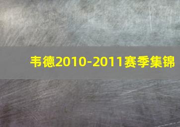 韦德2010-2011赛季集锦