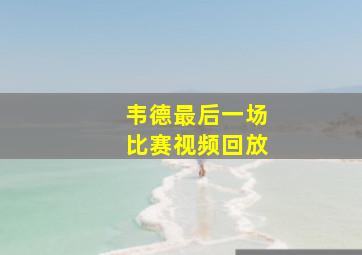 韦德最后一场比赛视频回放