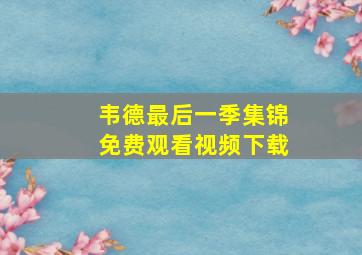 韦德最后一季集锦免费观看视频下载