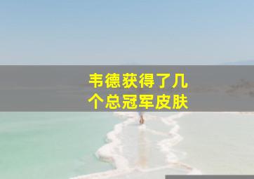 韦德获得了几个总冠军皮肤