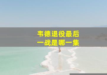 韦德退役最后一战是哪一集