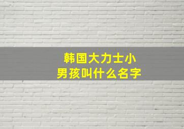 韩国大力士小男孩叫什么名字