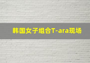 韩国女子组合T-ara现场