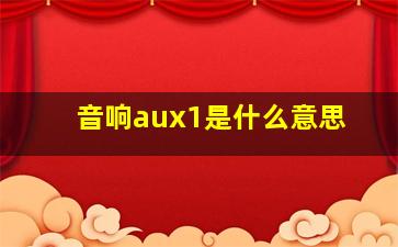 音响aux1是什么意思