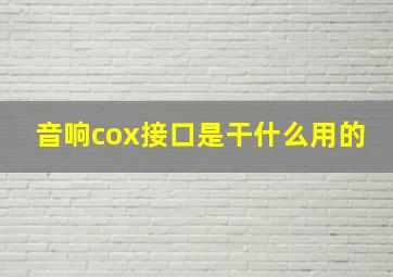 音响cox接口是干什么用的