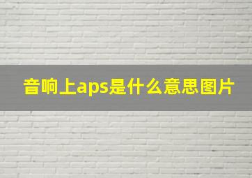 音响上aps是什么意思图片