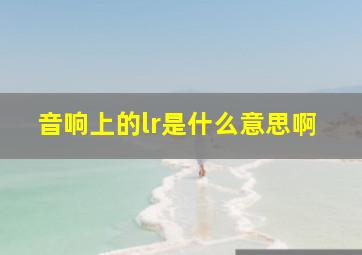 音响上的lr是什么意思啊