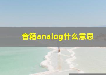 音箱analog什么意思