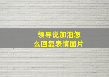 领导说加油怎么回复表情图片