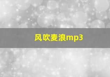 风吹麦浪mp3