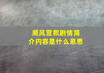 飓风营救剧情简介内容是什么意思