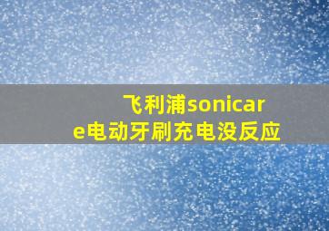 飞利浦sonicare电动牙刷充电没反应