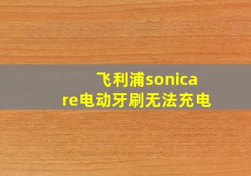 飞利浦sonicare电动牙刷无法充电