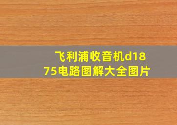 飞利浦收音机d1875电路图解大全图片