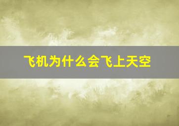 飞机为什么会飞上天空