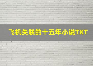 飞机失联的十五年小说TXT