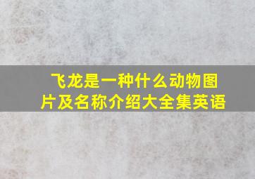 飞龙是一种什么动物图片及名称介绍大全集英语