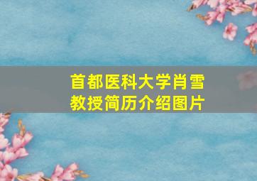 首都医科大学肖雪教授简历介绍图片