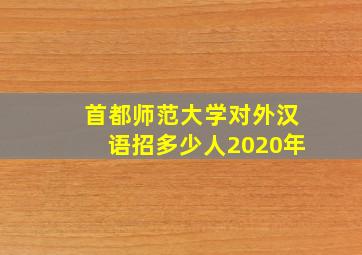 首都师范大学对外汉语招多少人2020年