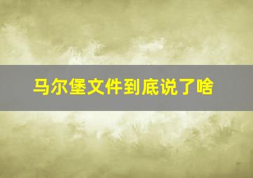 马尔堡文件到底说了啥