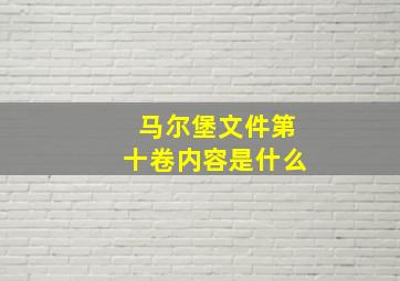 马尔堡文件第十卷内容是什么