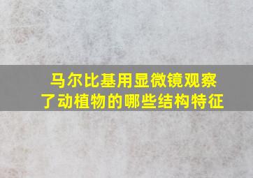 马尔比基用显微镜观察了动植物的哪些结构特征