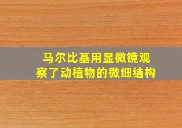 马尔比基用显微镜观察了动植物的微细结构