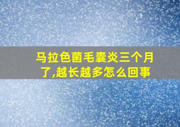 马拉色菌毛囊炎三个月了,越长越多怎么回事