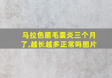 马拉色菌毛囊炎三个月了,越长越多正常吗图片