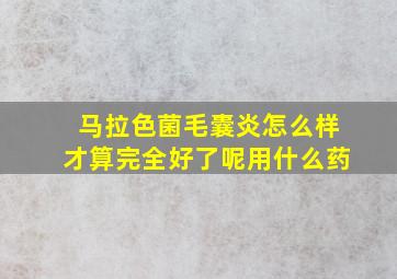 马拉色菌毛囊炎怎么样才算完全好了呢用什么药