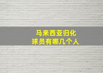 马来西亚归化球员有哪几个人