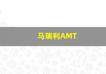 马瑞利AMT