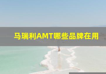 马瑞利AMT哪些品牌在用