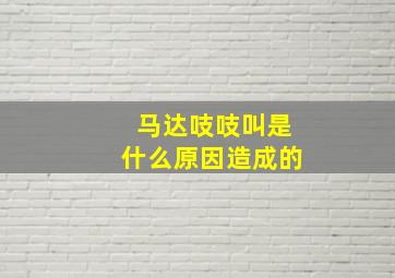 马达吱吱叫是什么原因造成的