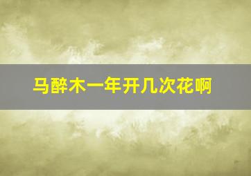 马醉木一年开几次花啊