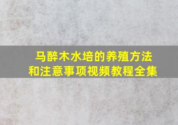 马醉木水培的养殖方法和注意事项视频教程全集