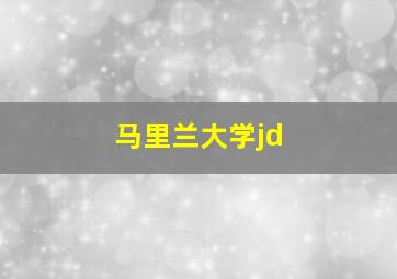 马里兰大学jd