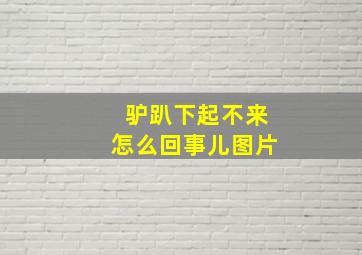 驴趴下起不来怎么回事儿图片