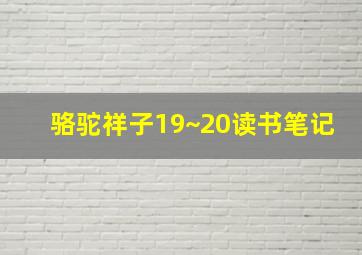 骆驼祥子19~20读书笔记