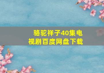 骆驼祥子40集电视剧百度网盘下载