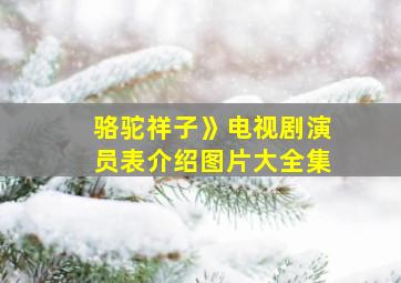 骆驼祥子》电视剧演员表介绍图片大全集