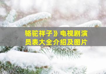 骆驼祥子》电视剧演员表大全介绍及图片