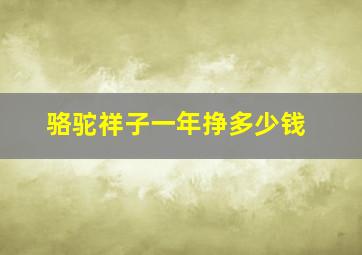 骆驼祥子一年挣多少钱