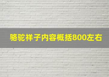 骆驼祥子内容概括800左右