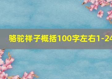 骆驼祥子概括100字左右1-24