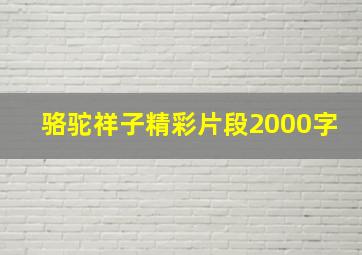 骆驼祥子精彩片段2000字